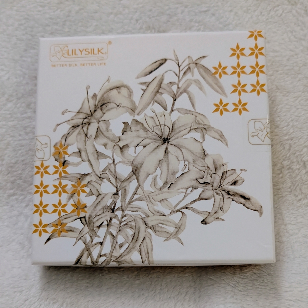 LILYSILK Silver Queen Size Silk Pillowcase